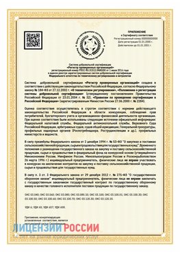 Приложение к сертификату для ИП Елабуга Сертификат СТО 03.080.02033720.1-2020
